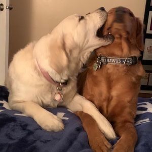 Meet your Posher, Sue